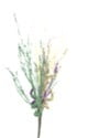 NEW!! PGG Floral Stem 28"